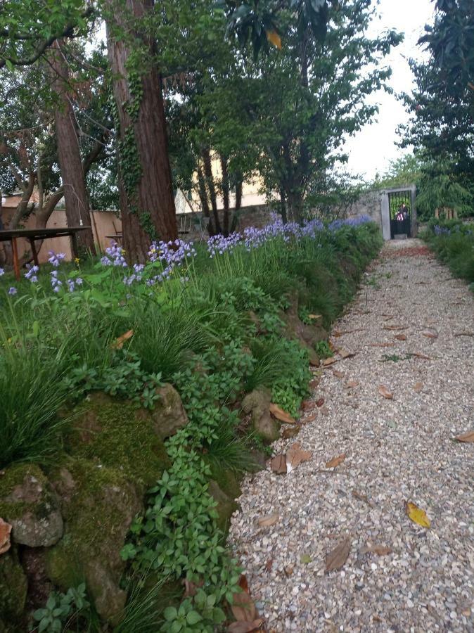 بولسينا B&B Villa Gualterio المظهر الخارجي الصورة